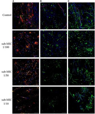 Sub-MIC antibiotics influence the microbiome, resistome and structure of riverine biofilm communities